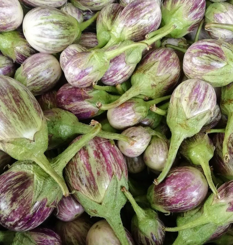 Brinjal vari - kathrikai