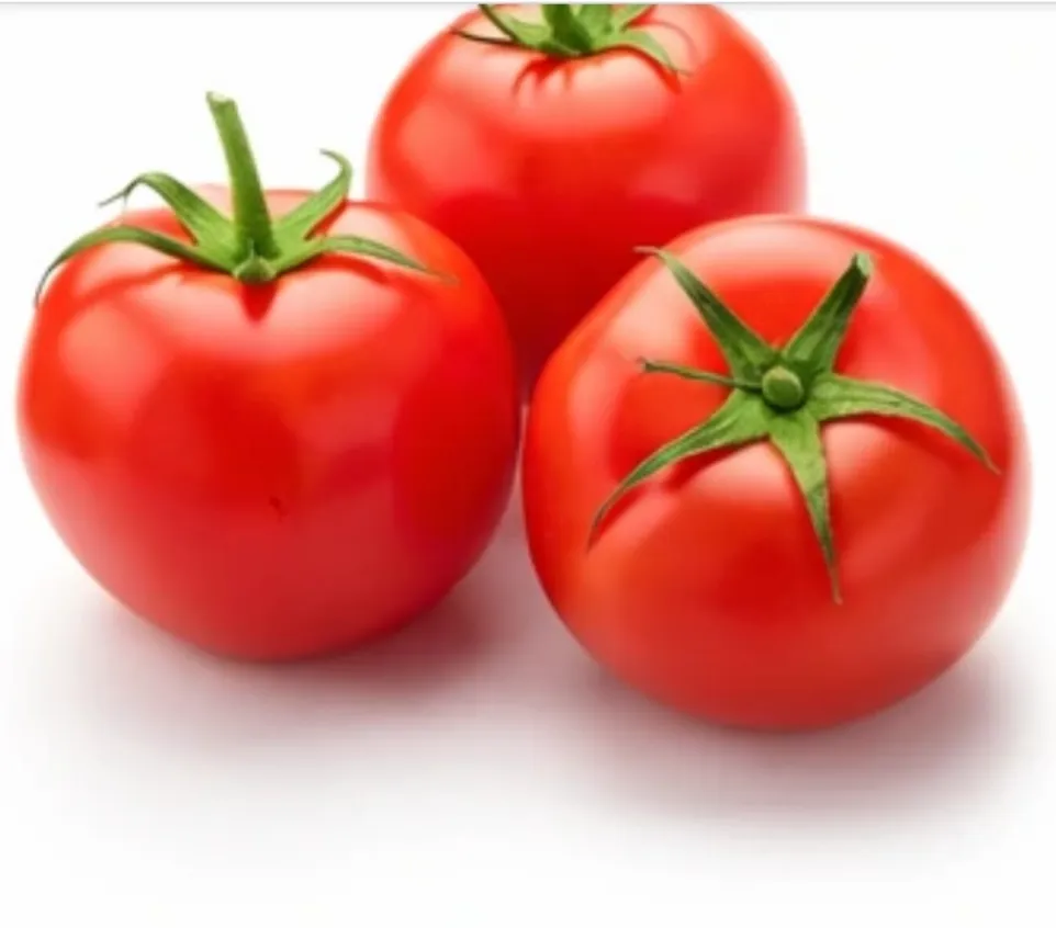 Tomato - தக்காளி