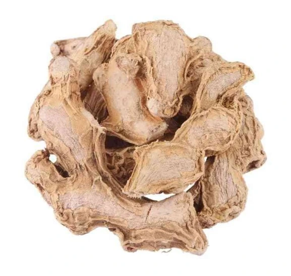 Dry Ginger Sukku சுக்கு (உலர் இஞ்சி)