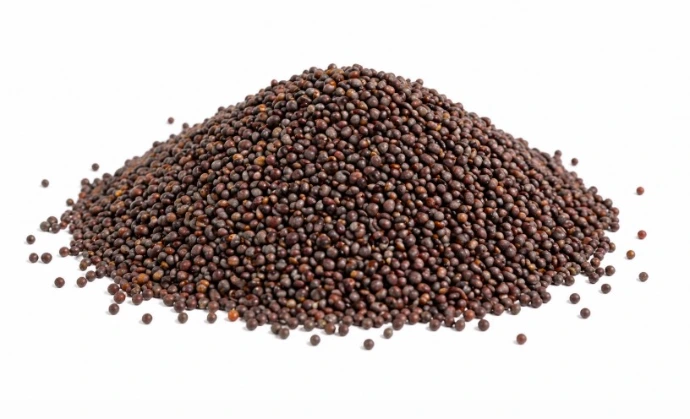 Mustard Seeds கடுகு