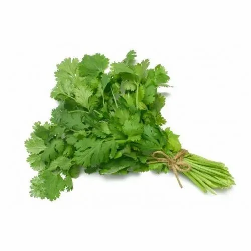 Coriander leaves - kothamalli