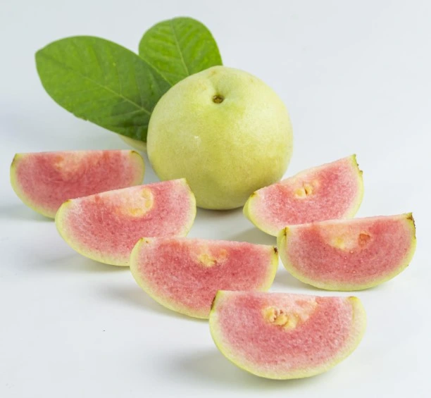 Guava pink இளஞ்சிவப்பு கொய்யா