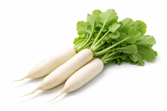 Radish முள்ளங்கி