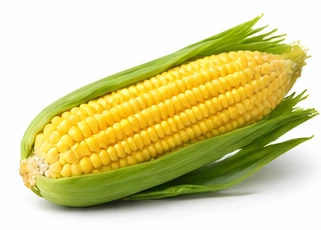 Sweet Corn ஸ்வீட் கார்ன்