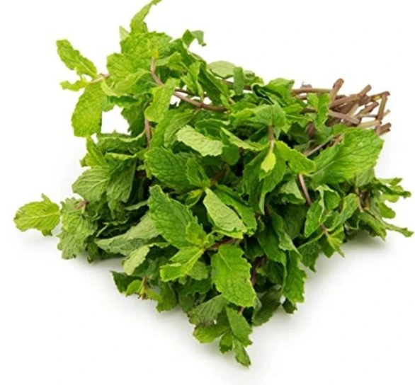 mint leaves புதினா