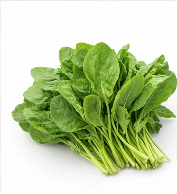 palak Spinach பசலைக் கீரை-1 katu