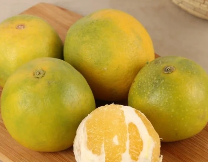 sweet lime சாத்துக்குடி 6pcs